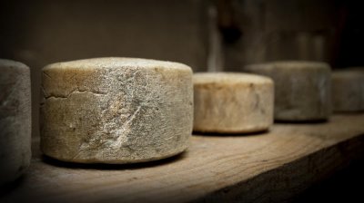 ancient cheese-making